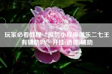 玩家必看教程“微信小程序微乐二七王有辅助吗”开挂(透视)辅助