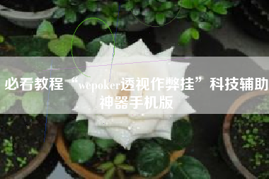 必看教程“wepoker透视作弊挂”科技辅助神器手机版 必看教程“wepoker透视作弊挂”科技辅助神器手机版