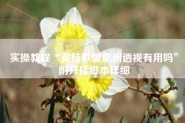 实操教程“竞技联盟德州透视有用吗”附开挂脚本详细 实操教程“竞技联盟德州透视有用吗”附开挂脚本详细