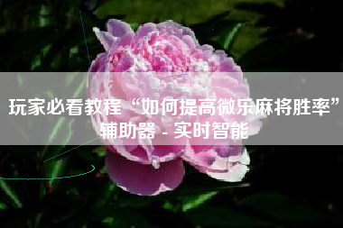 玩家必看教程“如何提高微乐麻将胜率”辅助器 - 实时智能 玩家必看教程“如何提高微乐麻将胜率”辅助器 - 实时智能