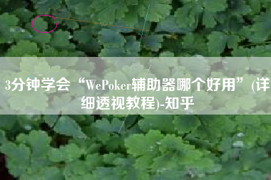 3分钟学会“WePoker辅助器哪个好用”(详细透视教程)-知乎