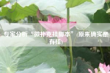 专家分析“微扑克挂脚本”(原来确实是有挂)
