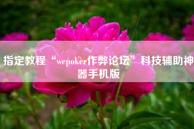 指定教程“wepoker作弊论坛”科技辅助神器手机版