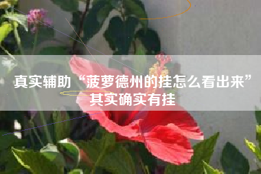 真实辅助“菠萝德州的挂怎么看出来”其实确实有挂