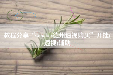 教程分享“wepoker德州透视购买”开挂(透视)辅助