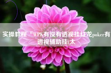实操教程“WPK有没有透视挂红龙poker有透视辅助挂(太 实操教程“WPK有没有透视挂红龙poker有透视辅助挂(太