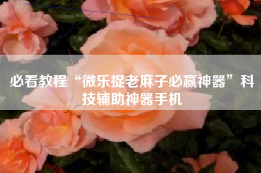 必看教程“微乐捉老麻子必赢神器”科技辅助神器手机