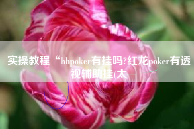 实操教程“hhpoker有挂吗?红龙poker有透视辅助挂(太 实操教程“hhpoker有挂吗?红龙poker有透视辅助挂(太