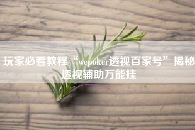 玩家必看教程“wepoker透视百家号”揭秘透视辅助万能挂