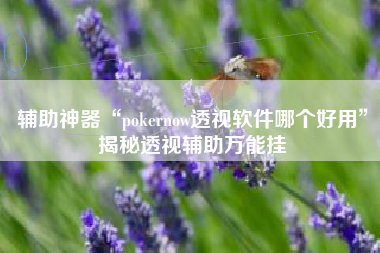 辅助神器“pokernow透视软件哪个好用”揭秘透视辅助万能挂 辅助神器“pokernow透视软件哪个好用”揭秘透视辅助万能挂