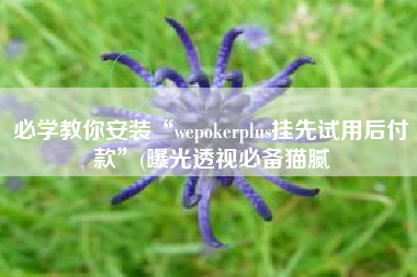 必学教你安装“wepokerplus挂先试用后付款”(曝光透视必备猫腻