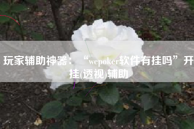 玩家辅助神器：“wepoker软件有挂吗”开挂(透视)辅助