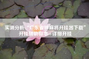 实测分析“广东雀神麻将开挂器下载”开挂辅助脚本+详细开挂