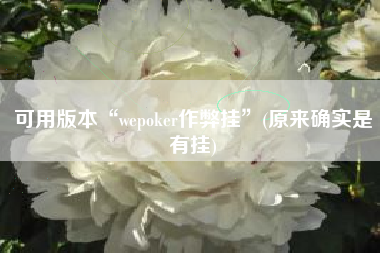 可用版本“wepoker作弊挂”(原来确实是有挂)