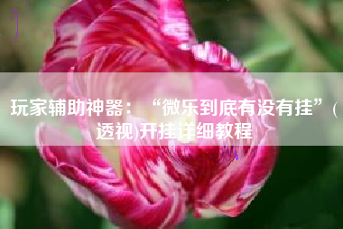 玩家辅助神器:“微乐到底有没有挂”(透视)开挂详细教程 玩家辅助神器:“微乐到底有没有挂”(透视)开挂详细教程