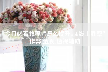 今日必看教程“怎么提升wpk线上胜率”作弊(透视)透视辅助 今日必看教程“怎么提升wpk线上胜率”作弊(透视)透视辅助