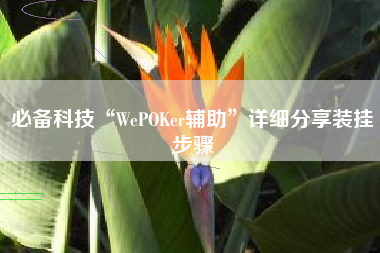 必备科技“WePOKer辅助”详细分享装挂步骤