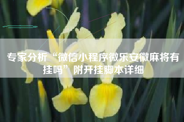 专家分析“微信小程序微乐安徽麻将有挂吗”附开挂脚本详细