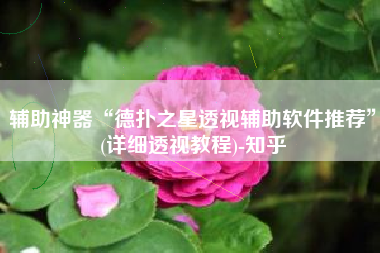 辅助神器“德扑之星透视辅助软件推荐”(详细透视教程)-知乎