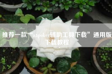 推荐一款“aapoker辅助工具下载”通用版下载教程