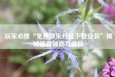 玩家必搜“免费微乐开挂下载安装”揭秘透视辅助万能挂 玩家必搜“免费微乐开挂下载安装”揭秘透视辅助万能挂