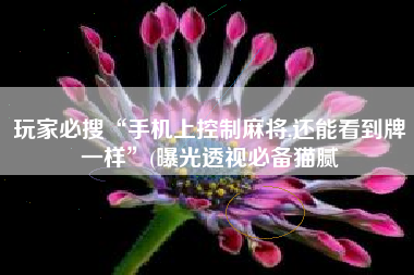 玩家必搜“手机上控制麻将,还能看到牌一样”(曝光透视必备猫腻