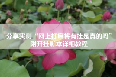 分享实测“网上打麻将有挂是真的吗”附开挂脚本详细教程