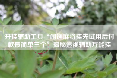 开挂辅助工具“闲逸麻将挂先试用后付款最简单三个”揭秘透视辅助万能挂 开挂辅助工具“闲逸麻将挂先试用后付款最简单三个”揭秘透视辅助万能挂