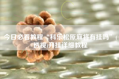 今日必看教程“科乐松原麻将有挂吗”(透视)开挂详细教程