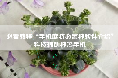 必看教程“手机麻将必赢神软件介绍”科技辅助神器手机