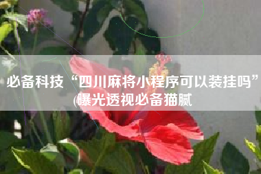 必备科技“四川麻将小程序可以装挂吗”(曝光透视必备猫腻