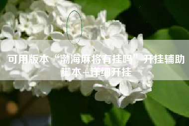 可用版本“渤海麻将有挂吗”开挂辅助脚本+详细开挂