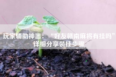玩家辅助神器：“好友赣南麻将有挂吗”详细分享装挂步骤