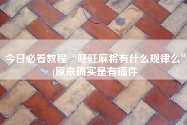 今日必看教程“旺旺麻将有什么规律么”(原来确实是有插件