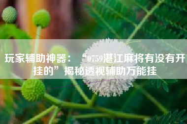 玩家辅助神器：“0759湛江麻将有没有开挂的”揭秘透视辅助万能挂