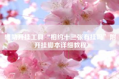 辅助开挂工具“相约十三张有挂吗”附开挂脚本详细教程