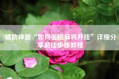 辅助神器“如何鉴别麻将开挂”详细分享装挂步骤教程