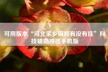 可用版本“河北家乡麻将有没有挂”科技辅助神器手机版