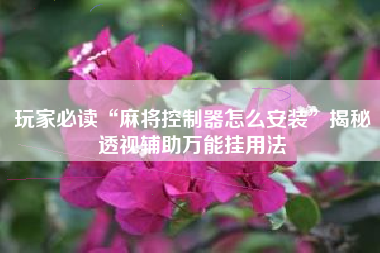 玩家必读“麻将控制器怎么安装”揭秘透视辅助万能挂用法