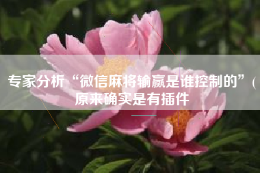 专家分析“微信麻将输赢是谁控制的”(原来确实是有插件