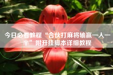 今日必看教程“合伙打麻将输赢一人一半”附开挂脚本详细教程