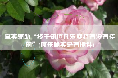 真实辅助“终于知道凡乐麻将有没有挂的”(原来确实是有插件)