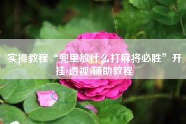 实操教程“兜里放什么打麻将必胜”开挂(透视)辅助教程