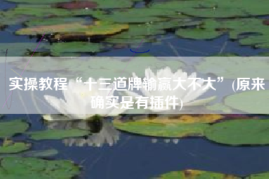 实操教程“十三道牌输赢大不大”(原来确实是有插件)