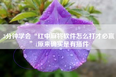 3分钟学会“红中麻将软件怎么打才必赢”(原来确实是有插件