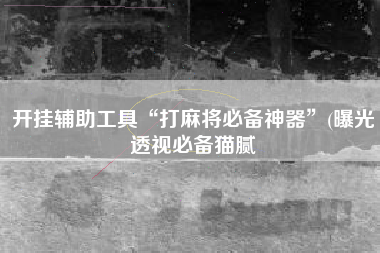 开挂辅助工具“打麻将必备神器”(曝光透视必备猫腻