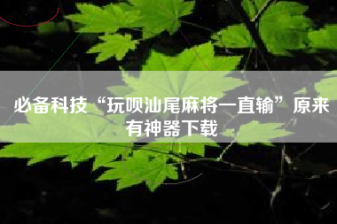 必备科技“玩呗汕尾麻将一直输”原来有神器下载