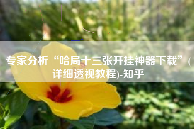 专家分析“哈局十三张开挂神器下载”(详细透视教程)-知乎