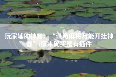 玩家辅助神器：“讯奇麻将万能开挂神器”(原来确实是有插件