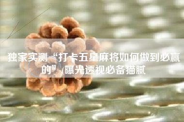 独家实测“打卡五星麻将如何做到必赢的”(曝光透视必备猫腻